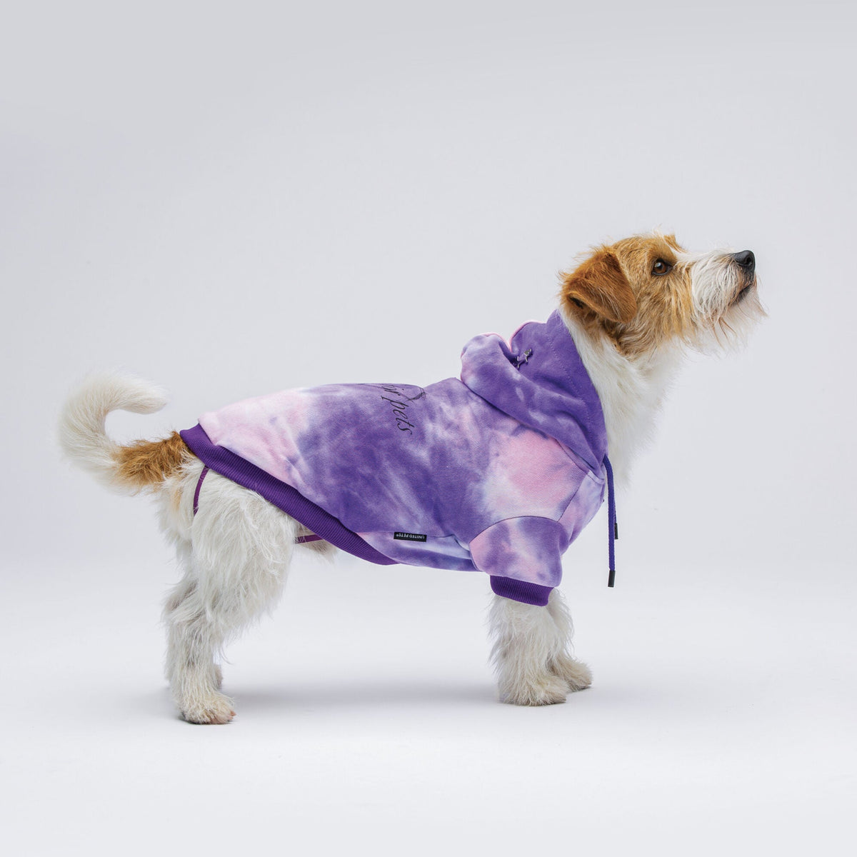 Bull – Sweat Pullover für coole Hunde