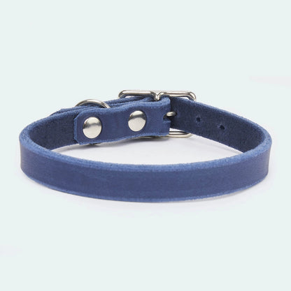 Abgerundetes Fettlederhalsband für Dackel und kleine Hunde