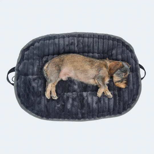 Hundekissen CosyCloud