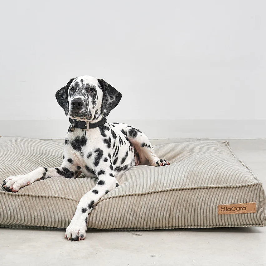 Cordo Hundekissen