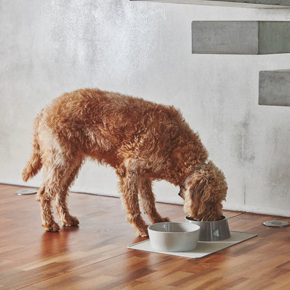Hunde Placemat Tova - Rutschfeste Futterplatz Matte für Hunde