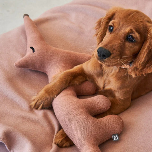 Bosco Fuchs - das sanfte Spielen