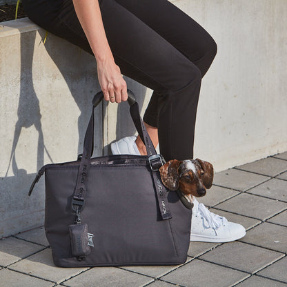Sporta Hundetragetasche