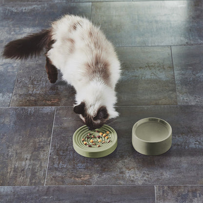 Piatto Katzennapf - Slow Feeder Katzennapf