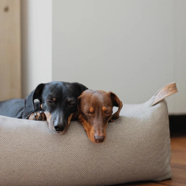 Mare – maritimes Design Hundebett