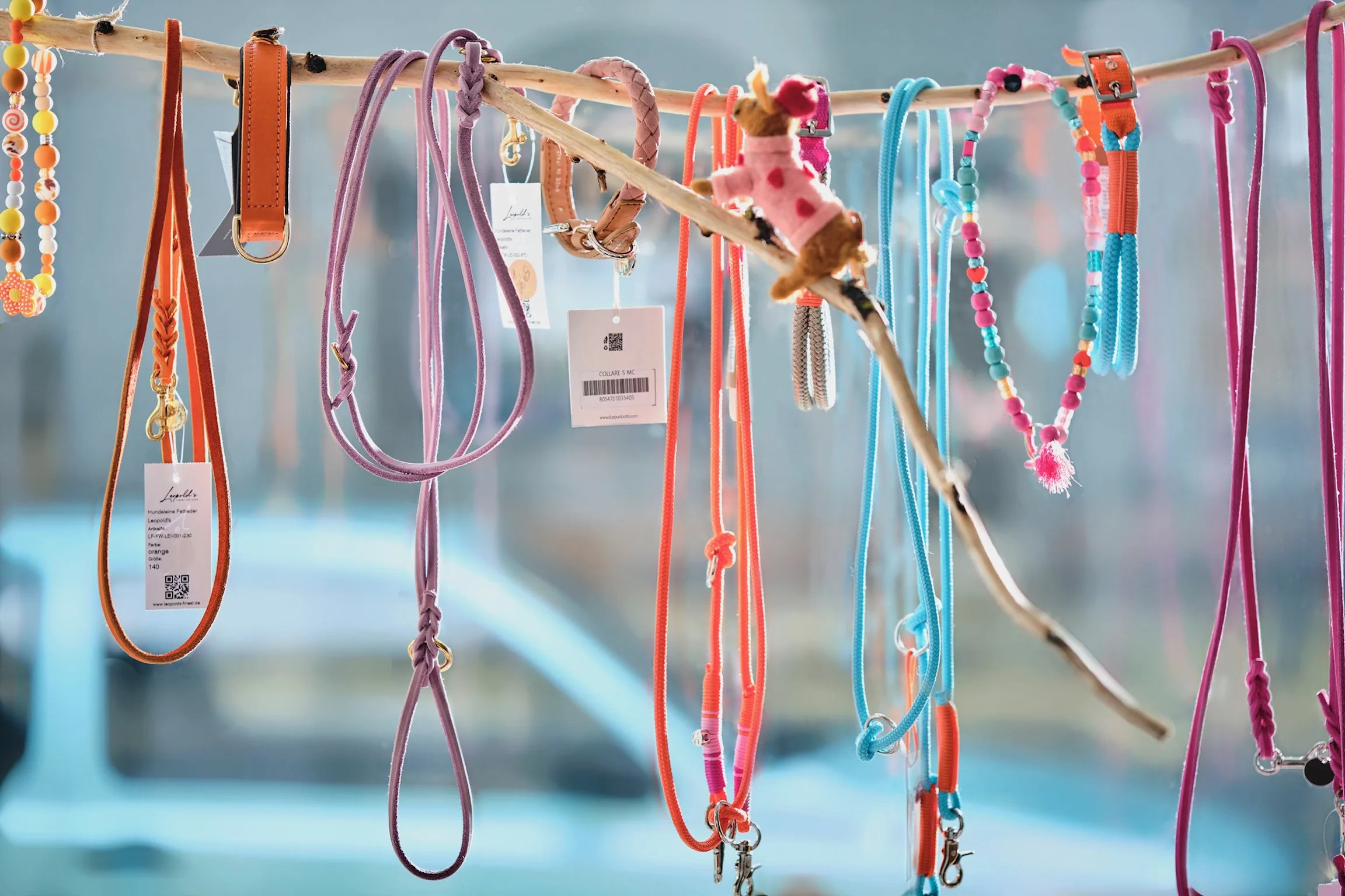 Entdecke die neusten Frühlings-Trends für deinen Hund oder Katze. Leinen, Halsbänder, Spielzeug und mehr. 