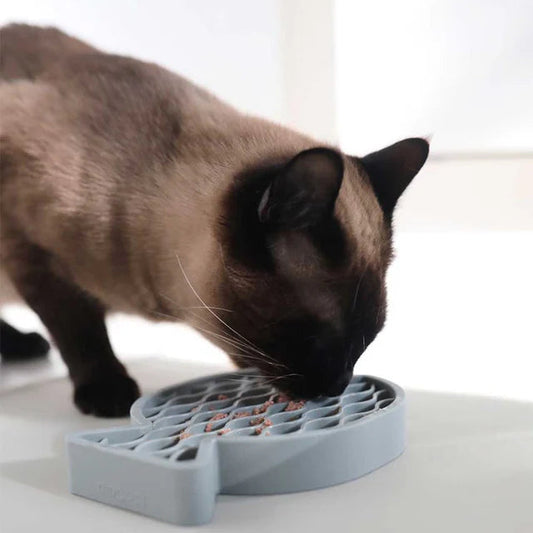 Pesce Futternapf: Gesünder Fressen