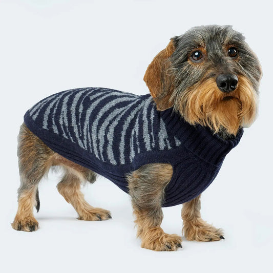 Strickpullover mit Zebra-Muster für Dackel und kleine Hunde