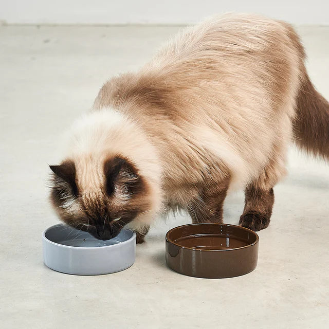 Scodella: Katzennapf für Designer