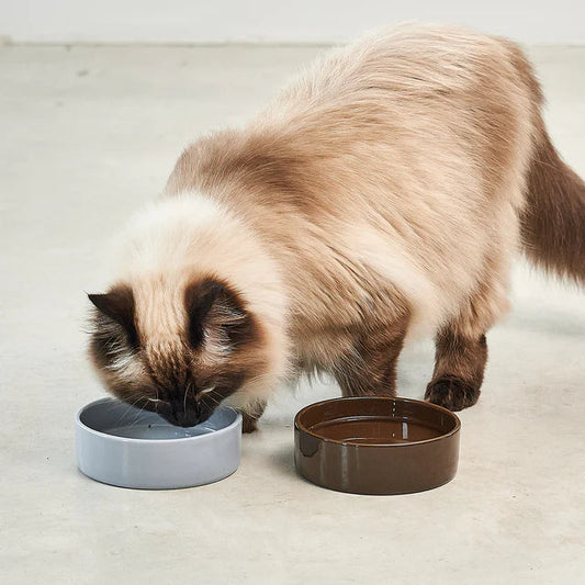 Scodella: Katzennapf für Designer