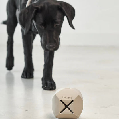 Dado – Der stilvolle Spielwürfel für Hunde