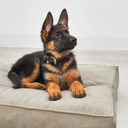 Cordo Hundekissen