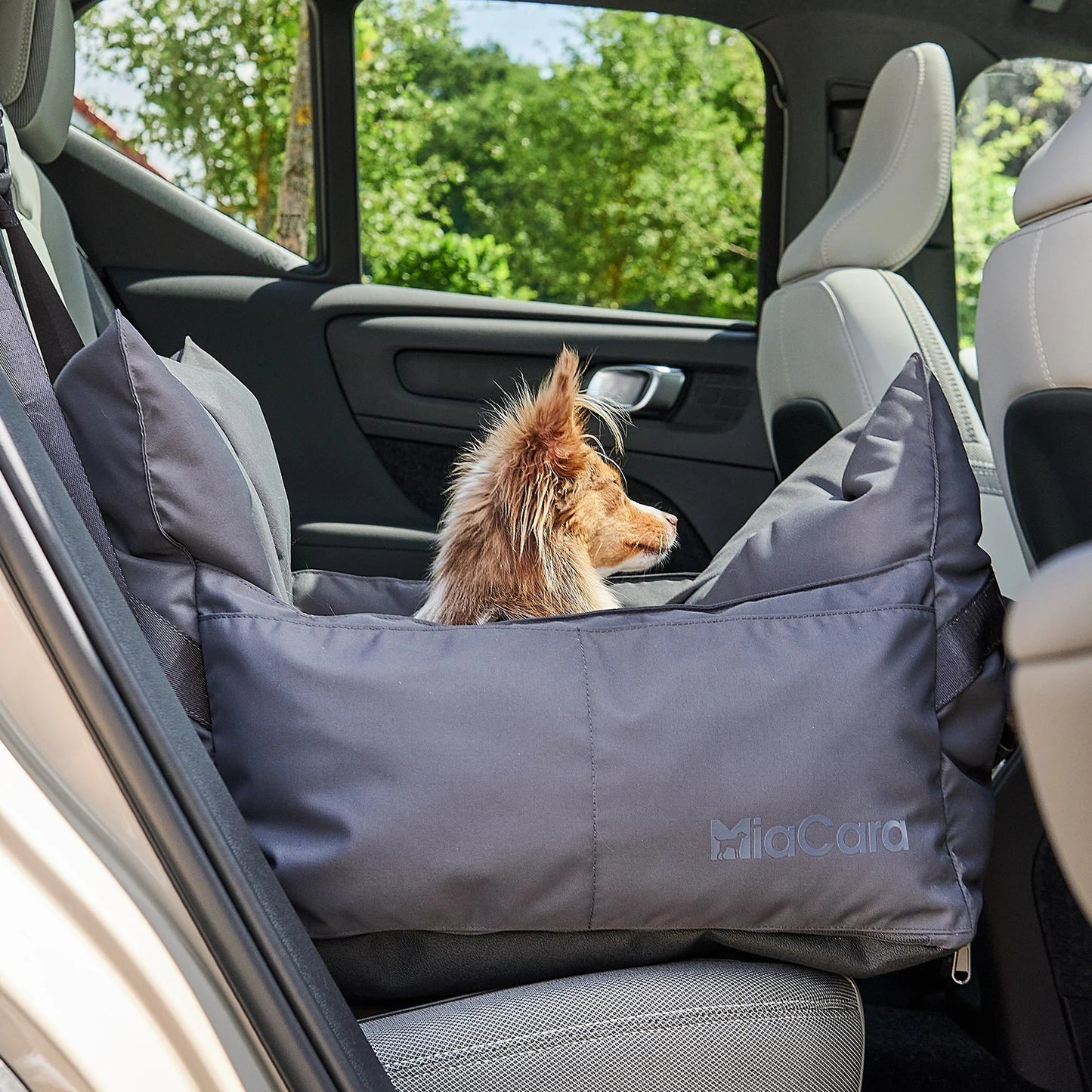 Design Autositz für Hunde - Sicher reisen. Stilvoll ankommen.