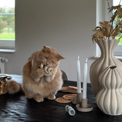 Spira Katzenspielzeug