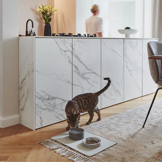 Fresco Katzennapf - Modernes Design aus Porzelan