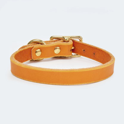 Abgerundetes Fettlederhalsband für Dackel und kleine Hunde