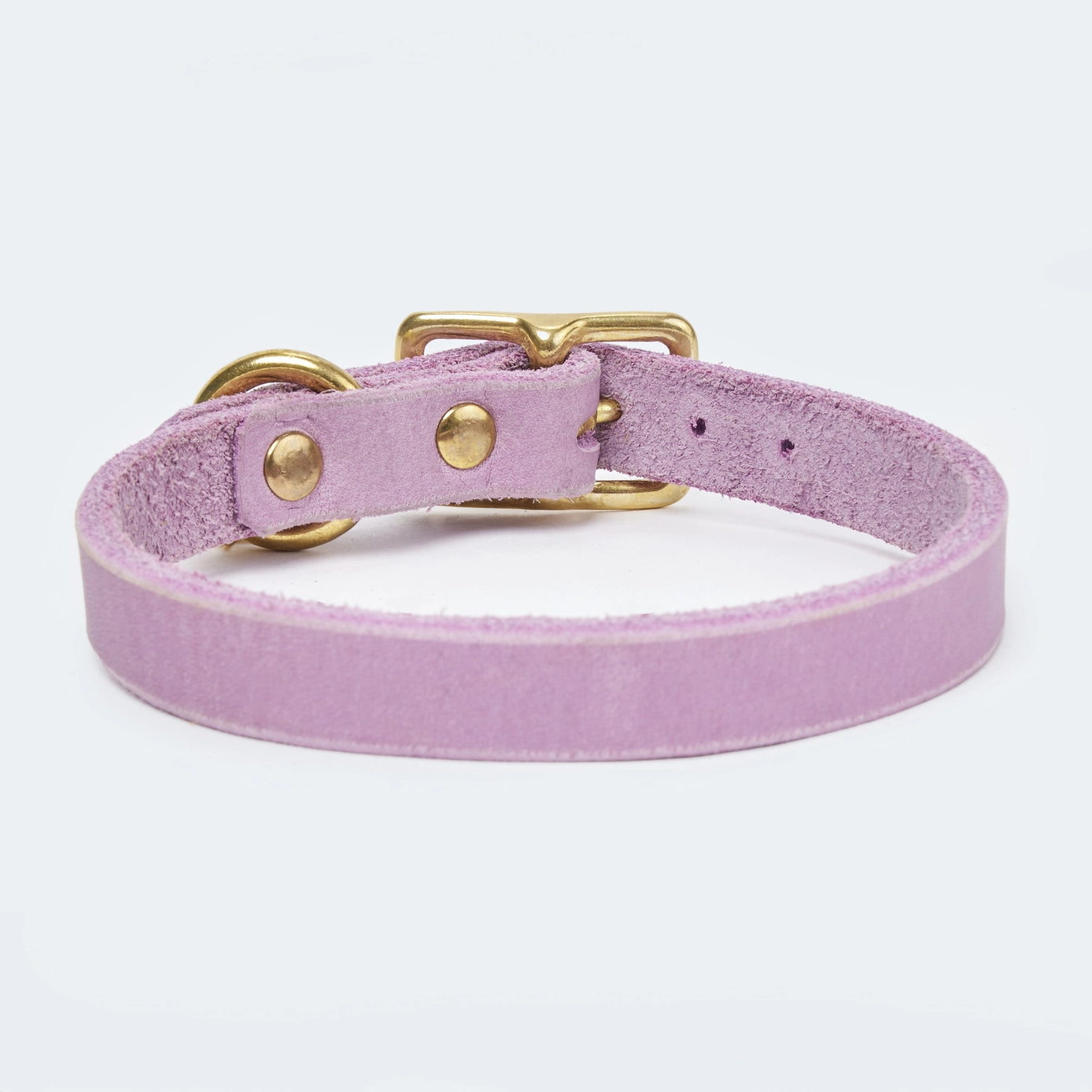 Abgerundetes Fettlederhalsband für Dackel und kleine Hunde