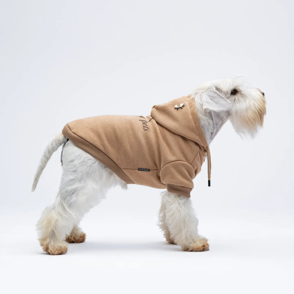 Bull – Sweat Pullover für coole Hunde