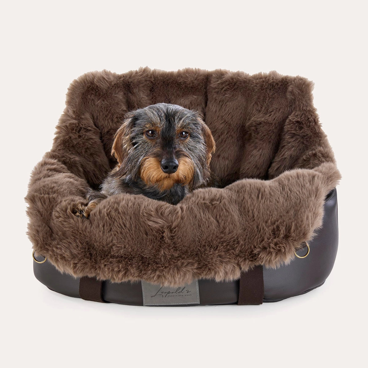 Autotasche für Hunde - Sicher und stilvoll unterwegs