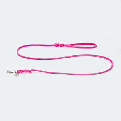 Leichte Fettleder Hundeleine