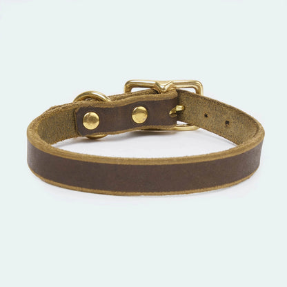 Abgerundetes Fettlederhalsband für Dackel und kleine Hunde