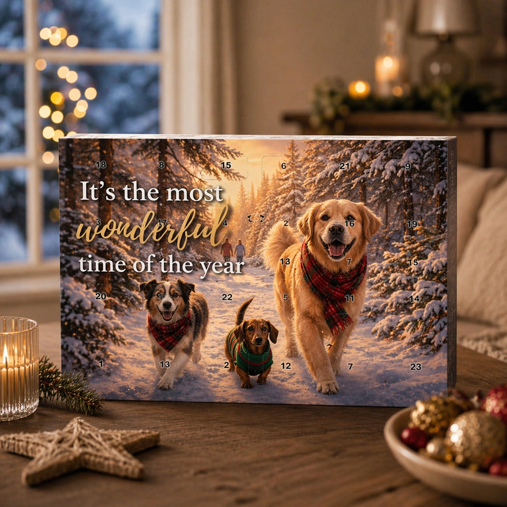 Adventskalender für Hunde - 24 Tage Freude