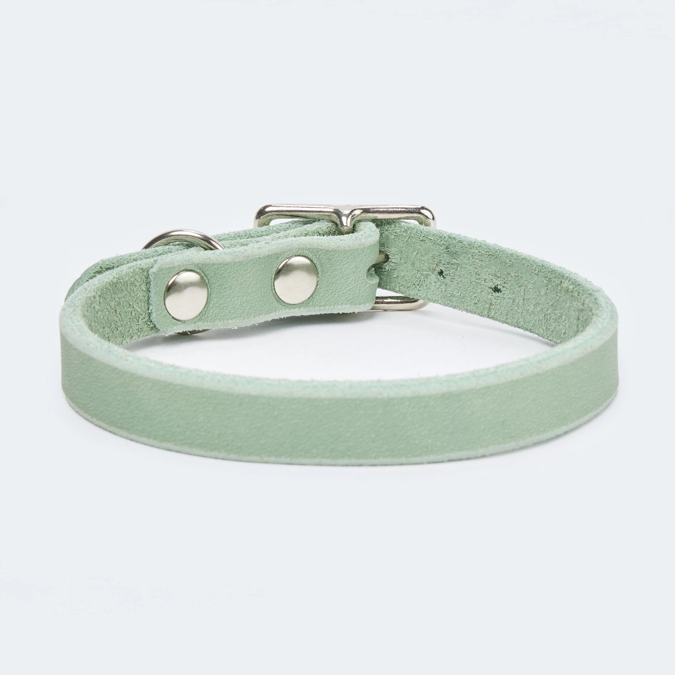 Abgerundetes Fettlederhalsband für Dackel und kleine Hunde