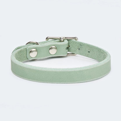 Abgerundetes Fettlederhalsband für Dackel und kleine Hunde