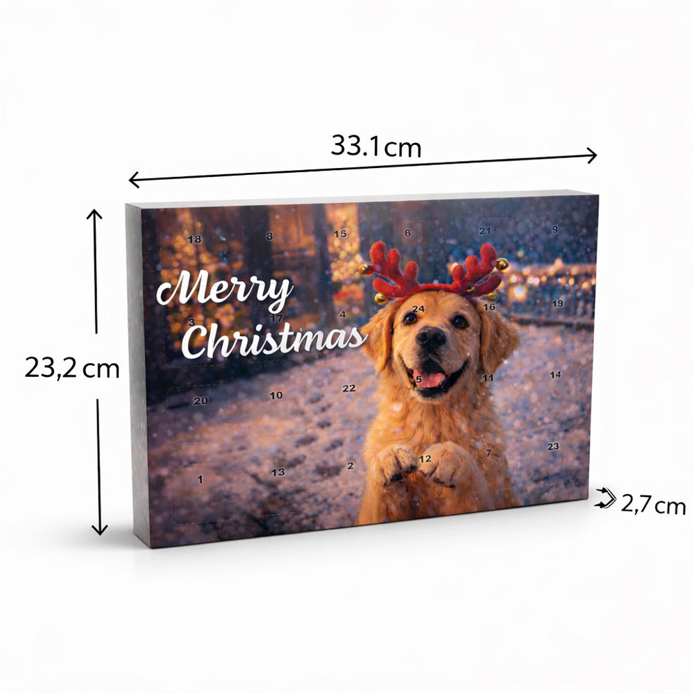 Adventskalender für Hunde - 24 Tage Freude