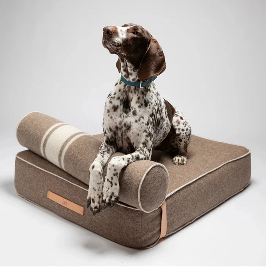 Orthopädisches Hundebett mit Memory-Foam Matratze und recycelter Wolle 