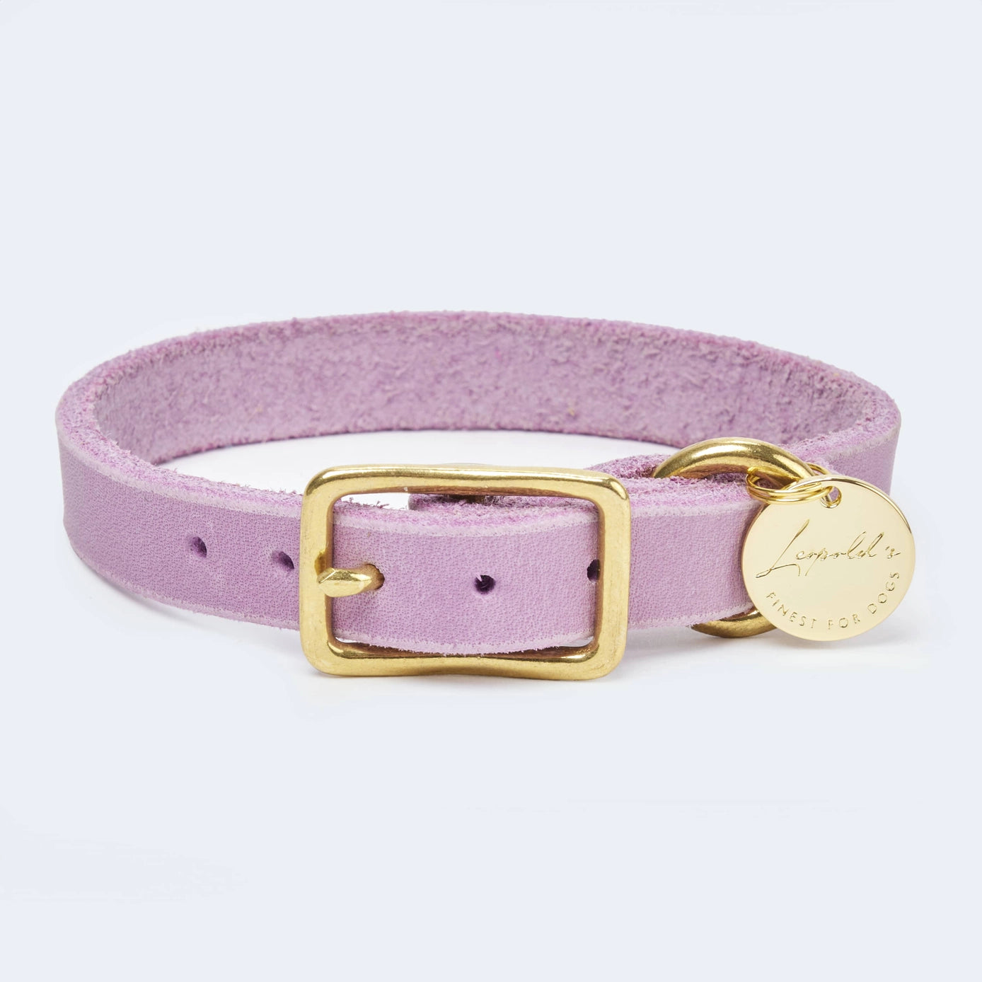 Abgerundetes Fettlederhalsband für Dackel und kleine Hunde