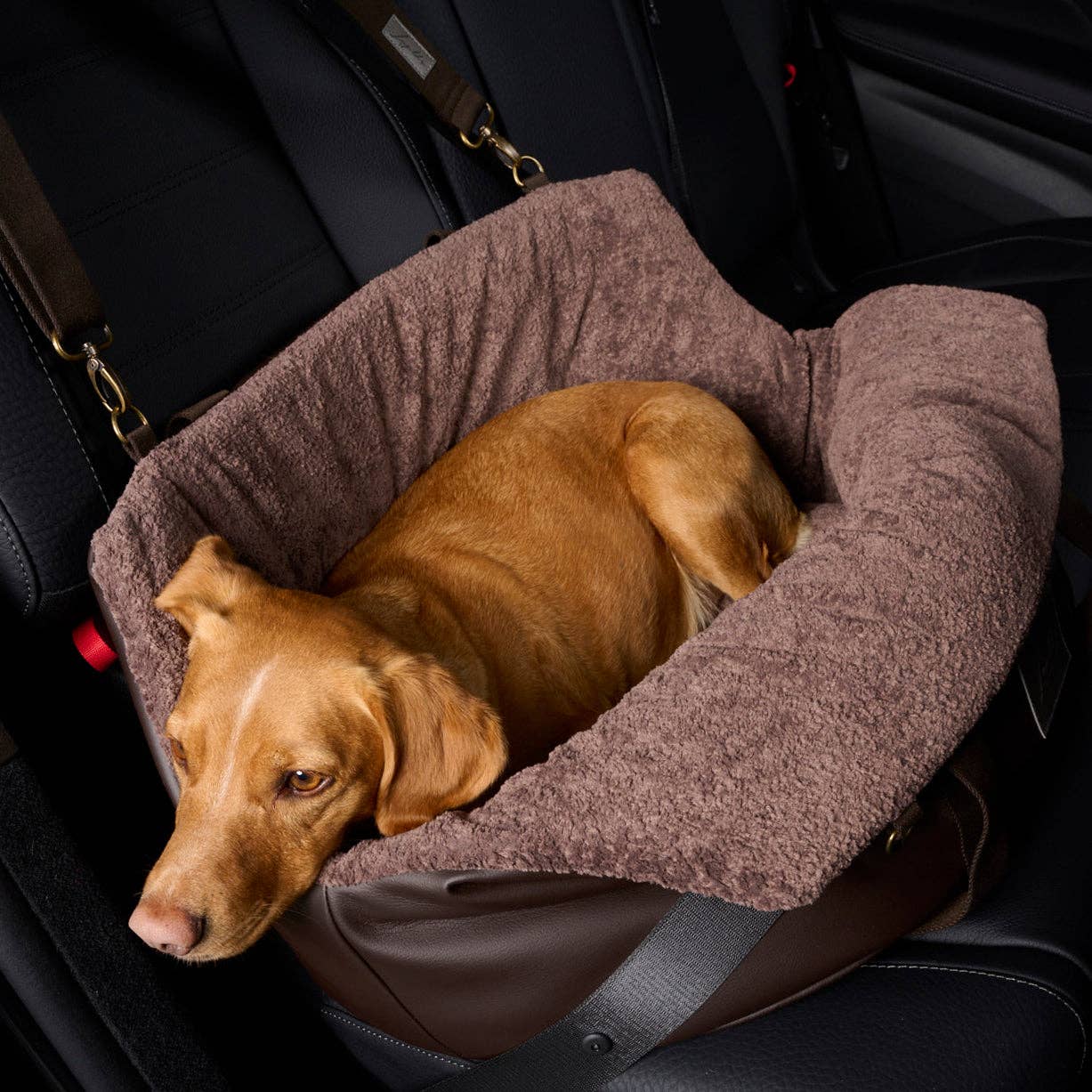 Autotasche für Hunde - Sicher und stilvoll unterwegs