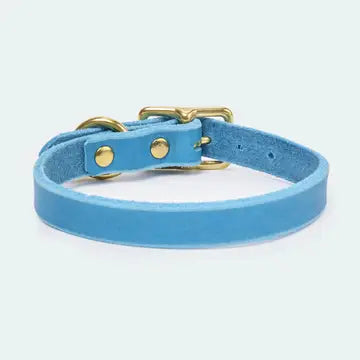 Abgerundetes Fettlederhalsband für Dackel und kleine Hunde