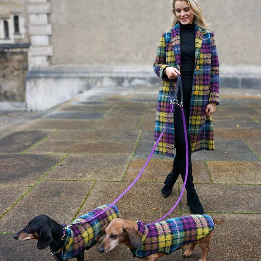 Dachshund Mantel Franz Marc