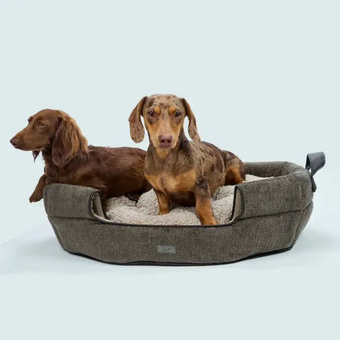 2-in-1 Hundehöhle & Hundebett "Alpin" für Dackel und kleine Hunde