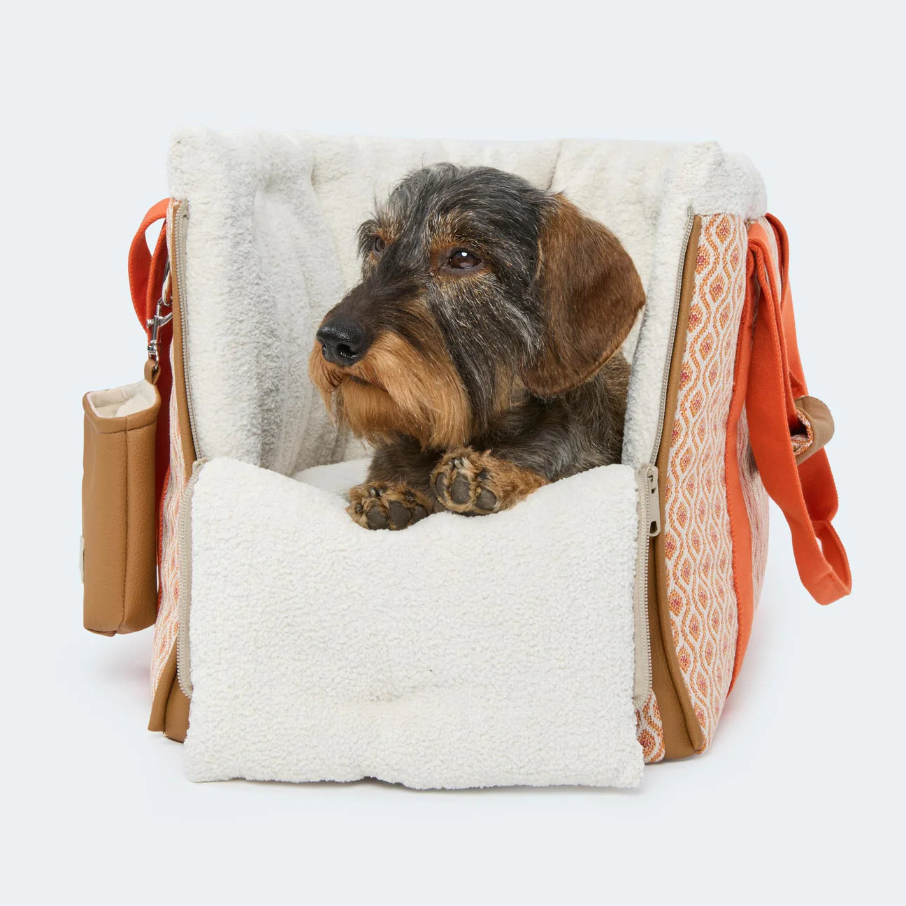 Leopold's Finest Hundetasche Santorini für Dackel und kleine Hunde in orange. Vorderansicht geöffnet mit Rauhaardackel.