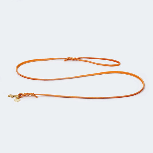 Handgefertigte Fettlederleine für Hunde in orange.