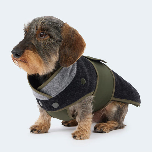 grün, blau und grauer Lodenmantel für kleine Hunde aus Fleece