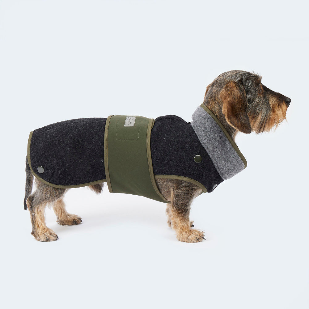 Dackel mit grau, blau, grauem Lodenmantel aus Fleece
