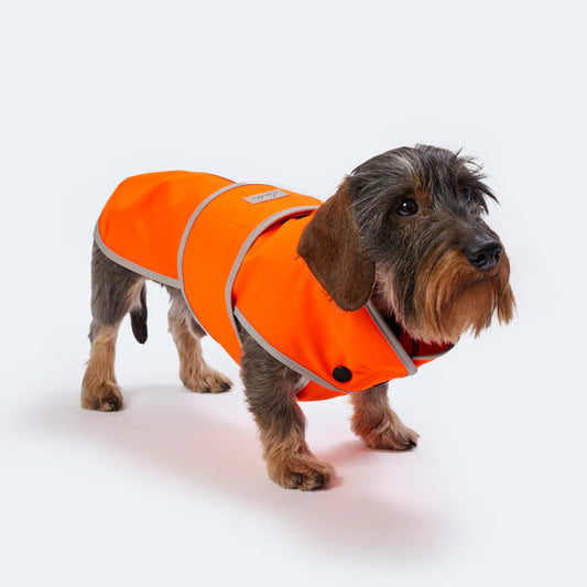 Handgefertigter Softshell Hundemantel in orange. Sorgt für Sicherheit an dunklen Winter Tagen