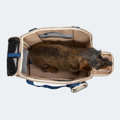 Sommer-Edition Flugtasche für Dackel & kleine Hunde - Orthopädisch