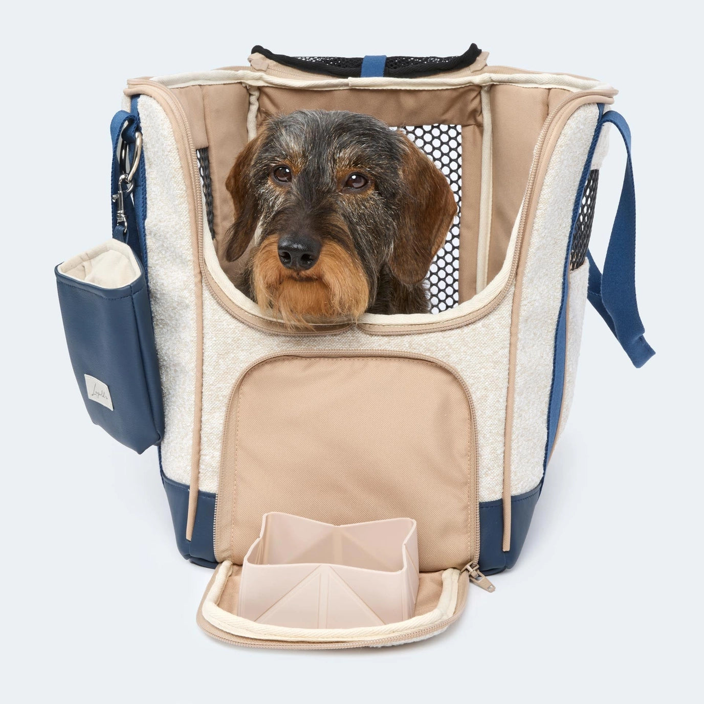 Sommer-Edition Flugtasche für Dackel & kleine Hunde - Orthopädisch