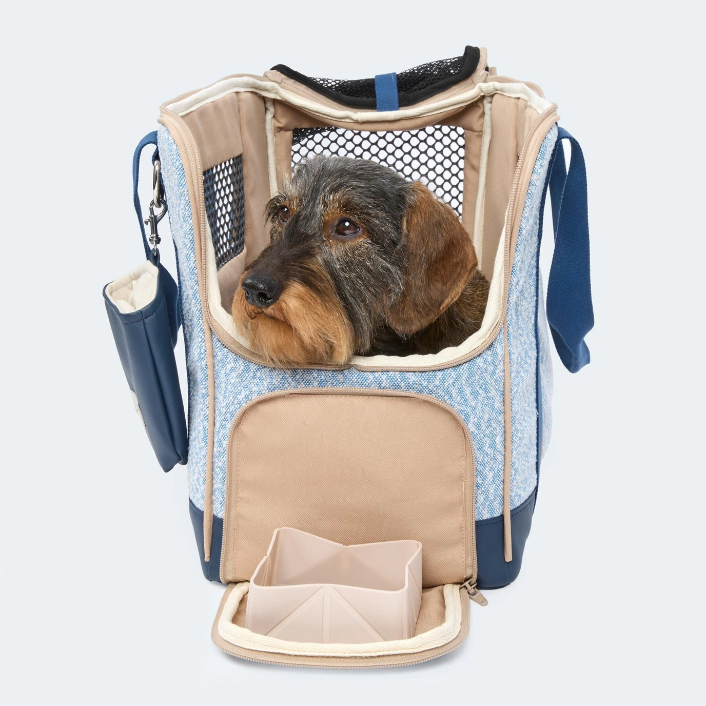 Sommer-Edition Flugtasche für Dackel & kleine Hunde - Orthopädisch