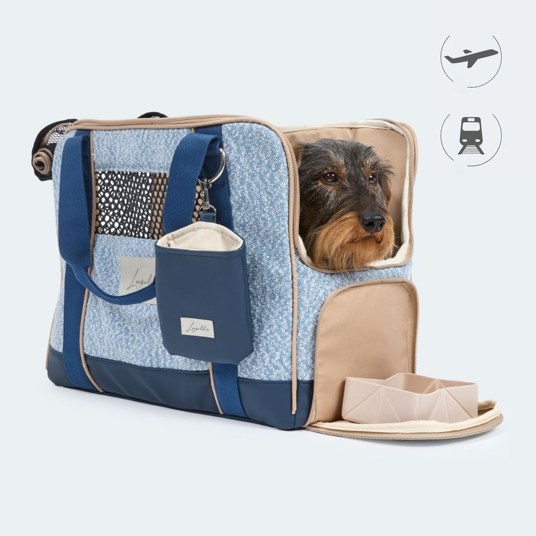 Sommer-Edition Flugtasche für Dackel & kleine Hunde - Orthopädisch