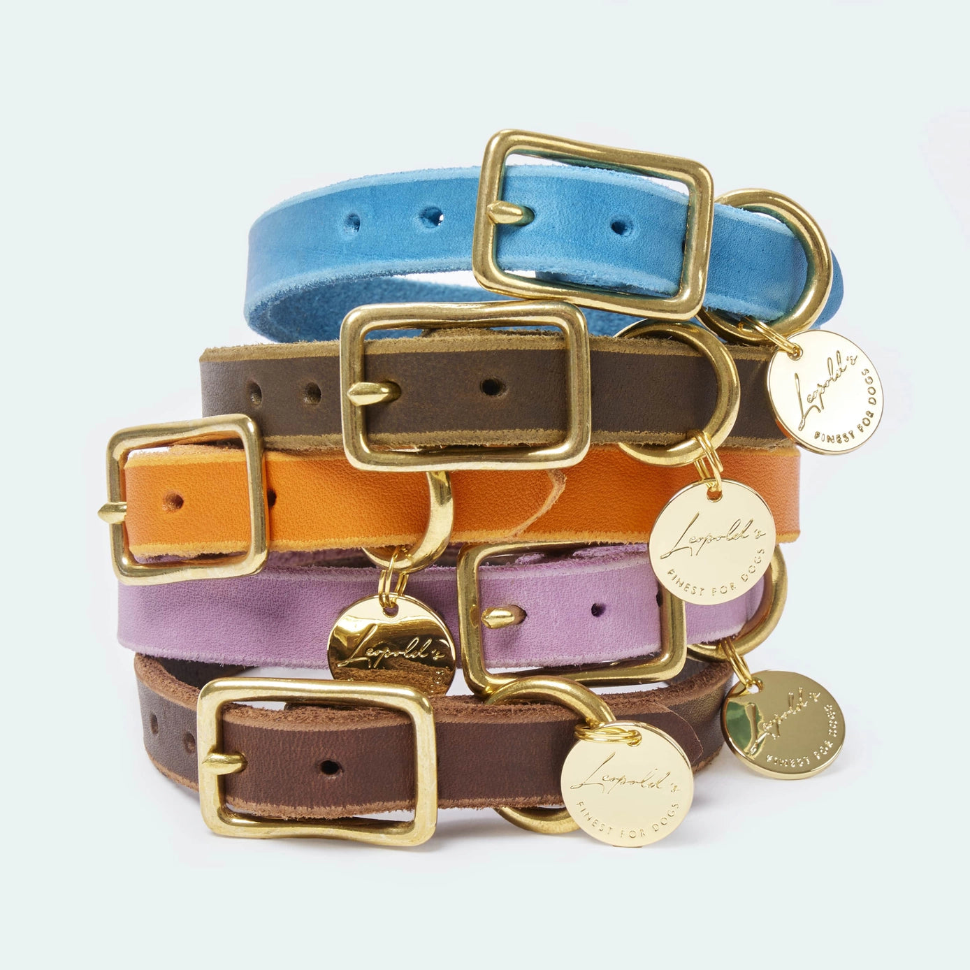 Bunte Fettleder Halsbänder für Dackel und kleine Hunde von Leopolds Finest. Mit Messing Beschlägen in verschiedenen Farben erhältlich. Ein Statement für den Sommer.