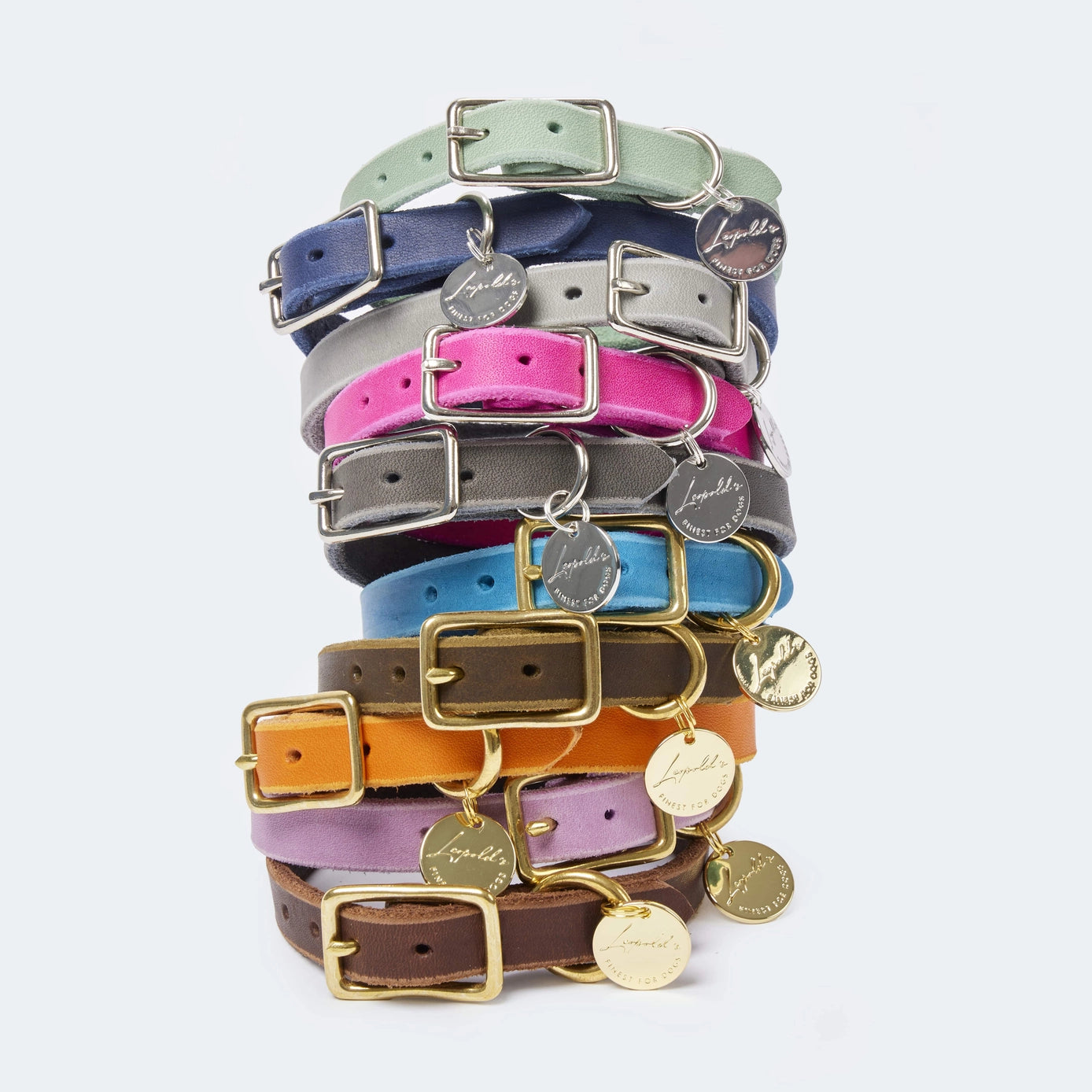 Bunte Fettleder Halsbänder für Dackel und kleine Hunde von Leopolds Finest. In verschiedenen Farben und Beschlägen erhältlich. Ein Statement für den Sommer.