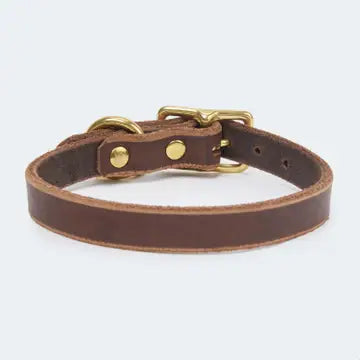 Dunkelbraun farbendes Fettleder Halsbänder für Dackel und kleine Hunde von Leopolds Finest. Mit Messing Beschlag. Ein Statement für den Sommer. Hinteransicht