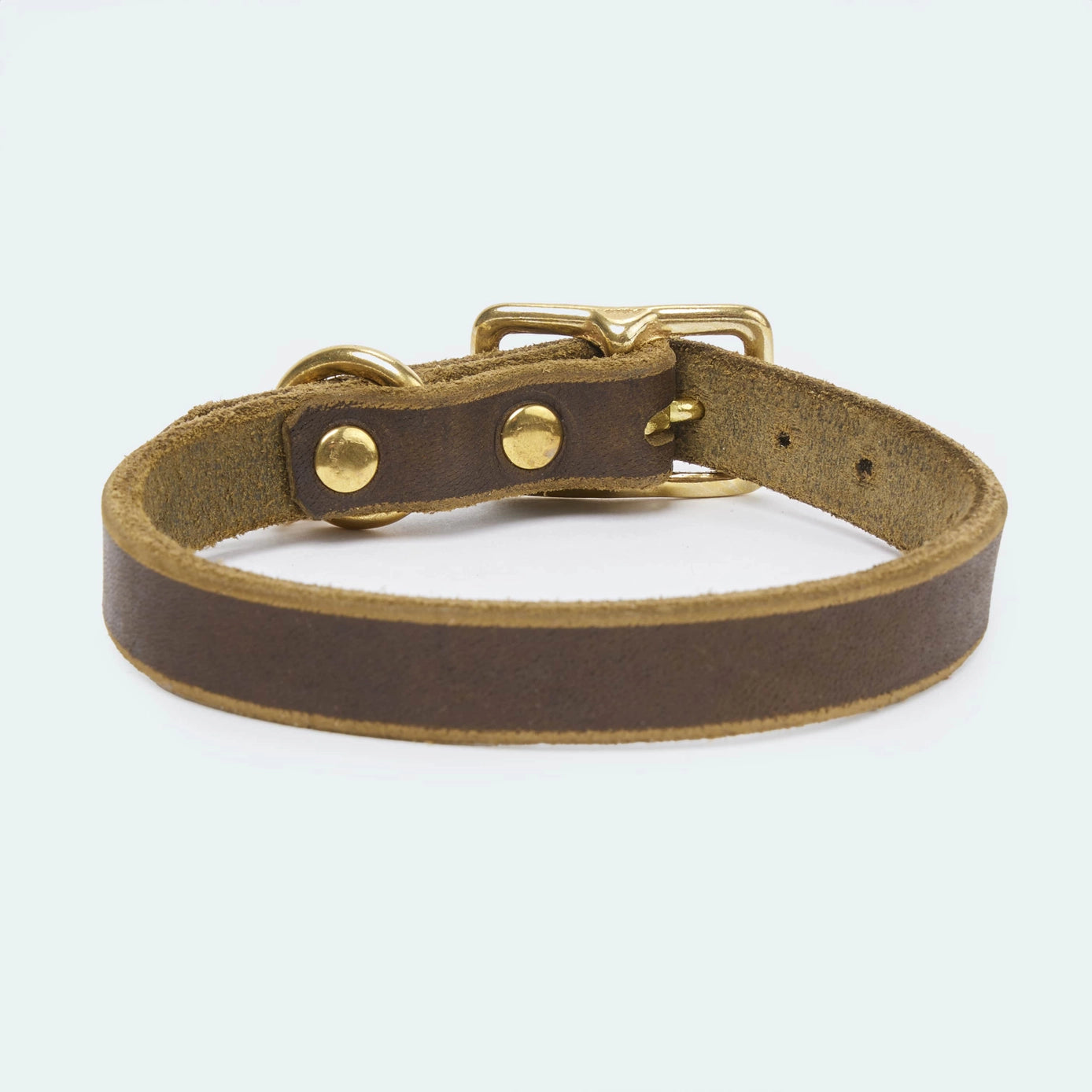 Oliv farbendes Fettleder Halsbänder für Dackel und kleine Hunde von Leopolds Finest. Mit Messing Beschlag. Ein Statement für den Sommer. Hinteransicht