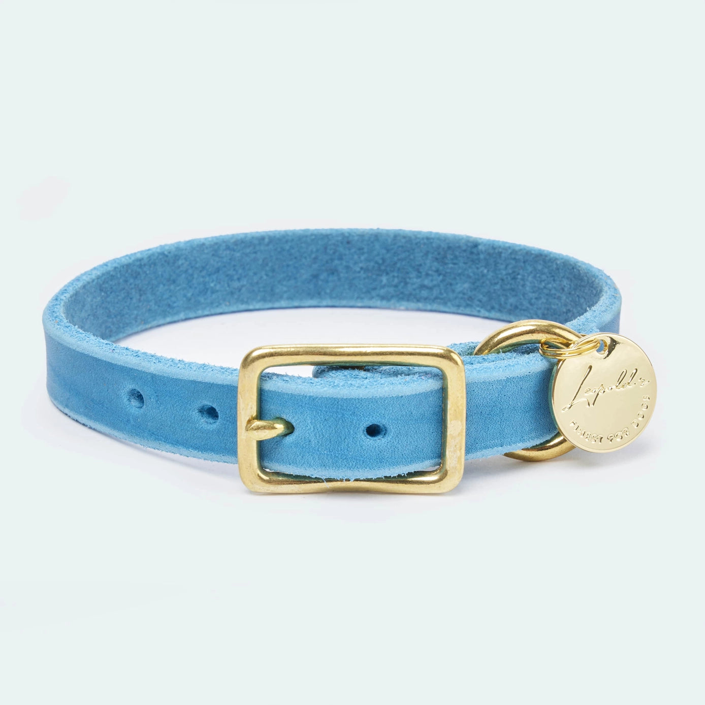 Türkis farbendes Fettleder Halsbänder für Dackel und kleine Hunde von Leopolds Finest. Mit Messing Beschlag. Ein Statement für den Sommer. Vorderansicht