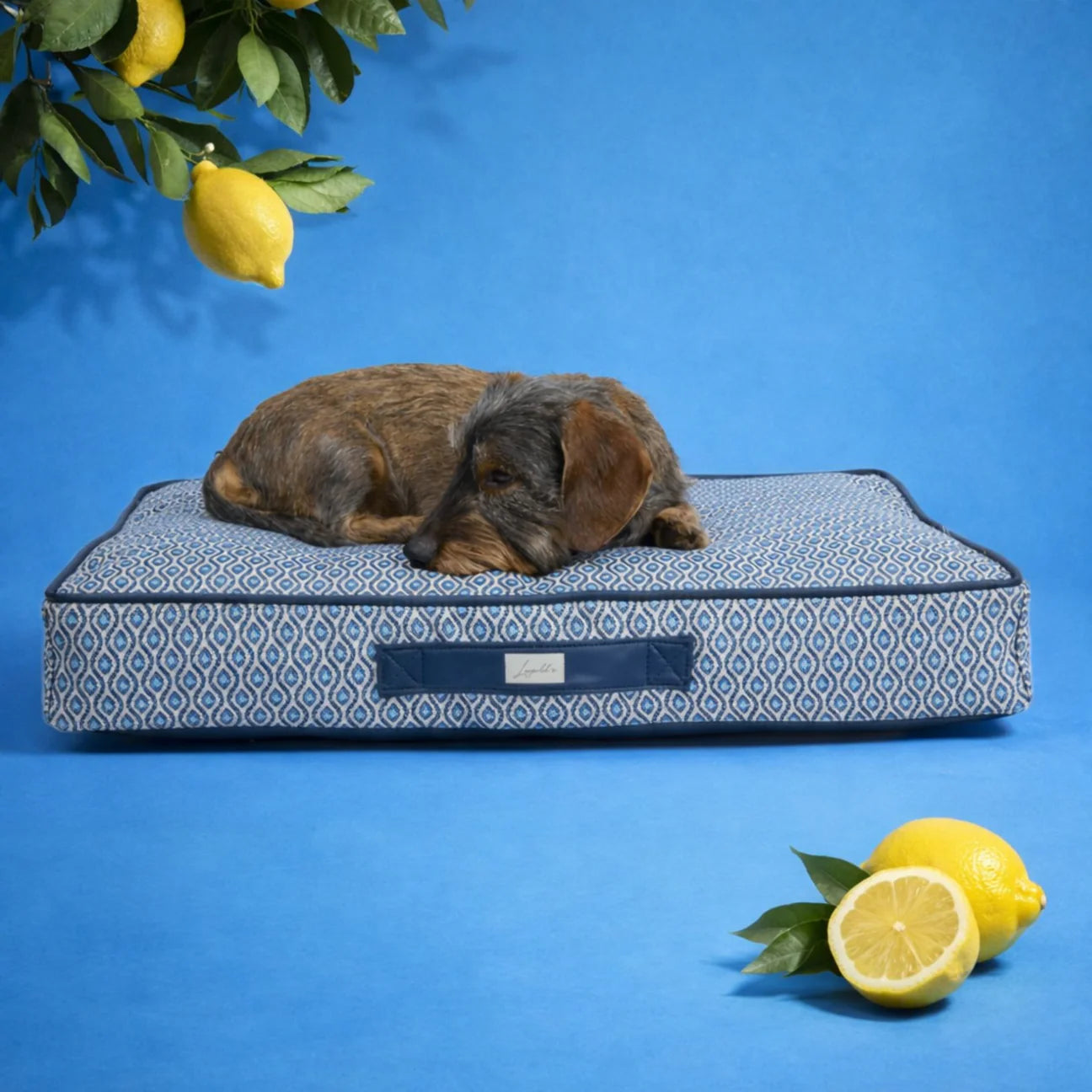 Orthopädisches Hundekissen Santorini von Leopold's Finest in Blau. Das Kissen ist Indoor und Outdoor geeignet. Frontale Ansicht